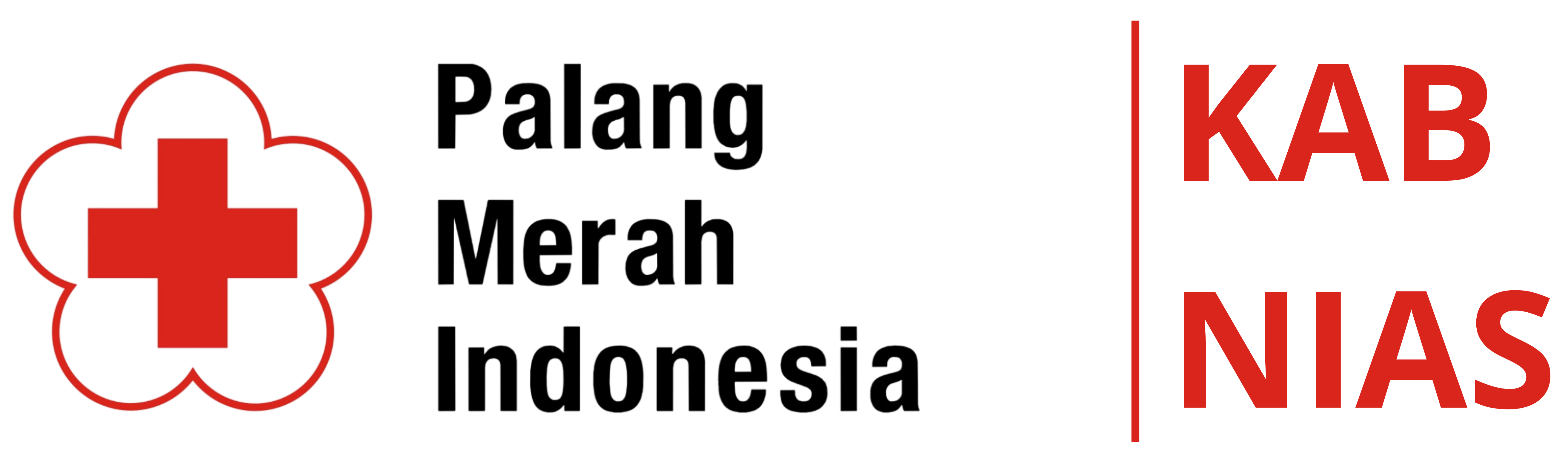 PMI Logo